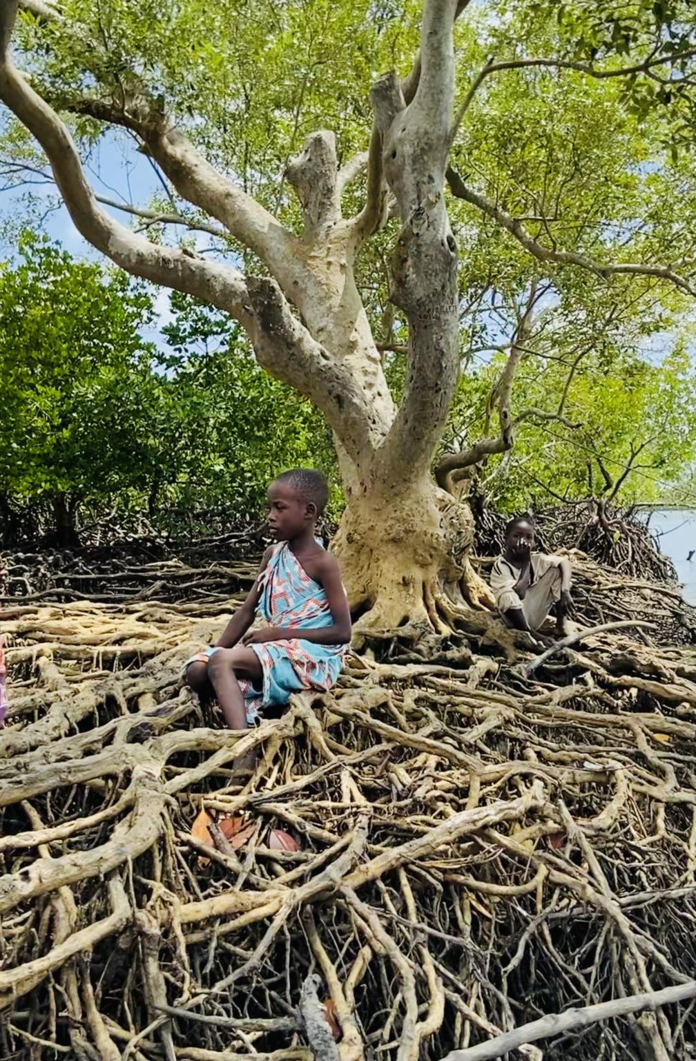 About Us Blue Forest